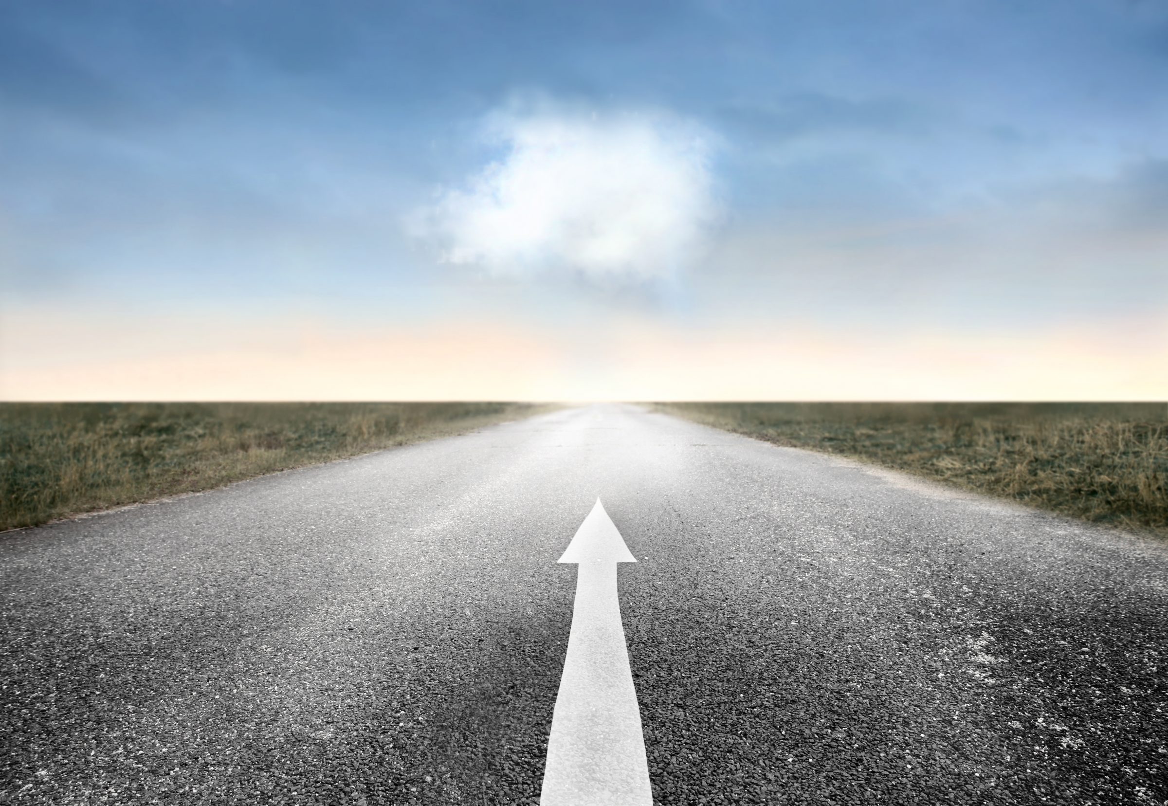 Vorstandswahlen im vedec